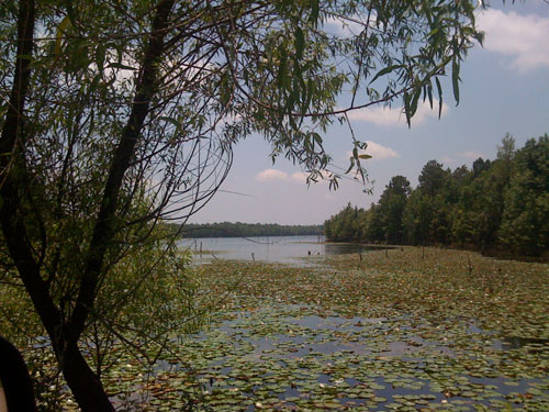 lakemonticello lakemonticello